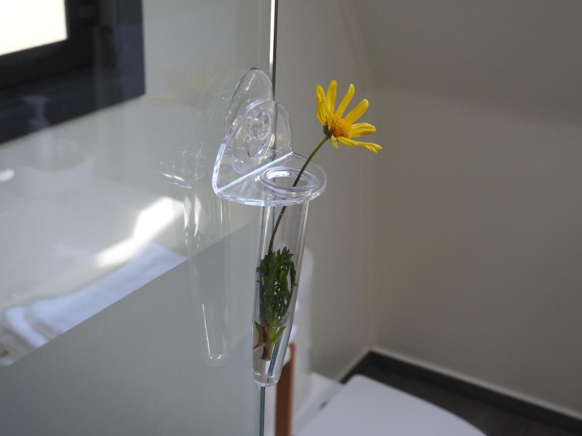 Rucatalca Bed And Breakfast Nancagua  Ngoại thất bức ảnh